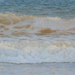 "West Beach Late Afternoon" 25x59
Original Oil 