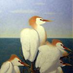 Cattle Egret 34x44