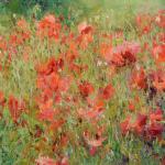 "Poppy Grandeur 4" 30x48
Original Oil 