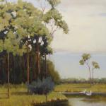 Cypress and Egrets 48x36