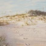 "Hill Dunes Footsteps" 24x36
Original Oil 