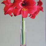 Amaryllis 36x24
Original Oil