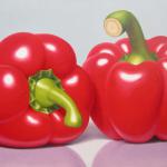 Red Pepper Duet 22x32
Original Oil