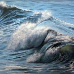 Rolling Surf 24x36
Limited Edition Giclee